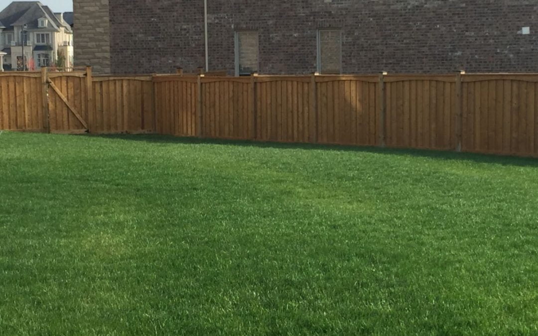 How to Choose the Best Fence Contractors