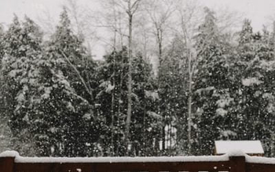 How to Avoid Deck Collapse and Damage in winter